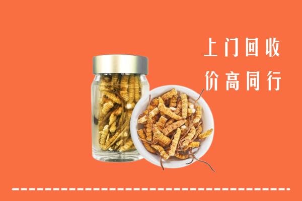 收购行情：运城临猗县回收冬虫夏草