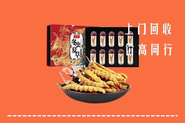 运城临猗县回收虫草